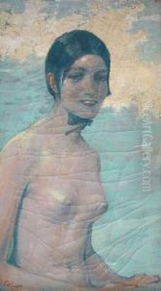 Female Nude. Oil On Canvas. Signed. - Craquele. Restored Oil Painting by Erich Erler-Samaden