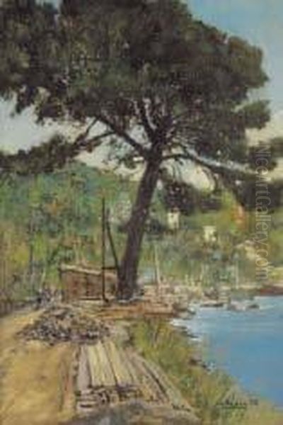 Veduta Costiera Con Pino A Santa Margherita Ligure Oil Painting by Cesare Esposito