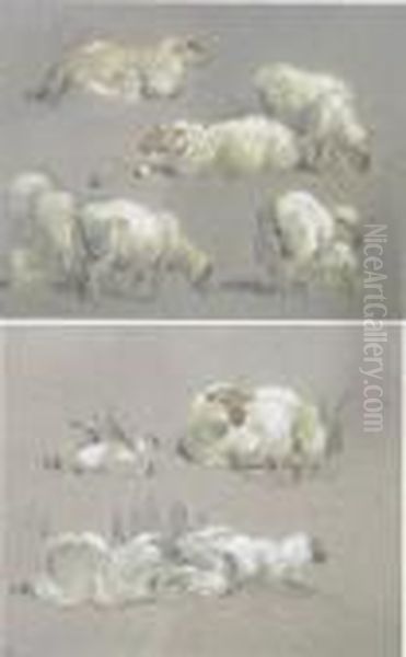 Sheep Oil Painting by Eugene Verboeckhoven