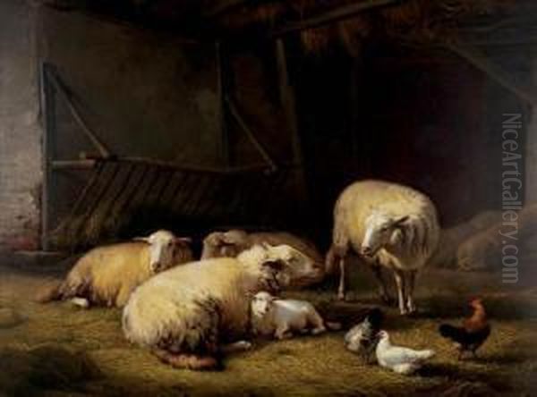 Sheep And Fowl In A Stable Oil Painting by Eugene Verboeckhoven