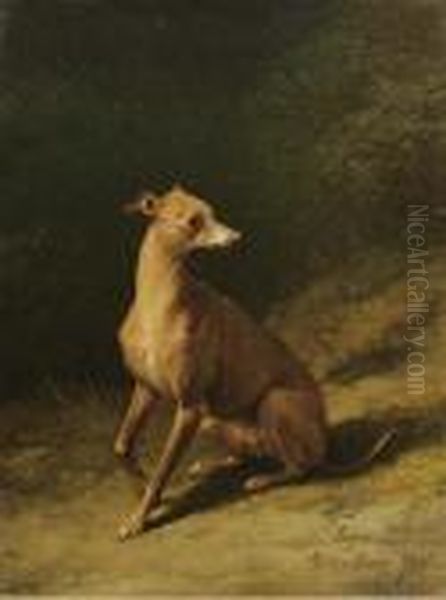 Portrait Of A Whippet Oil Painting by Eugene Verboeckhoven