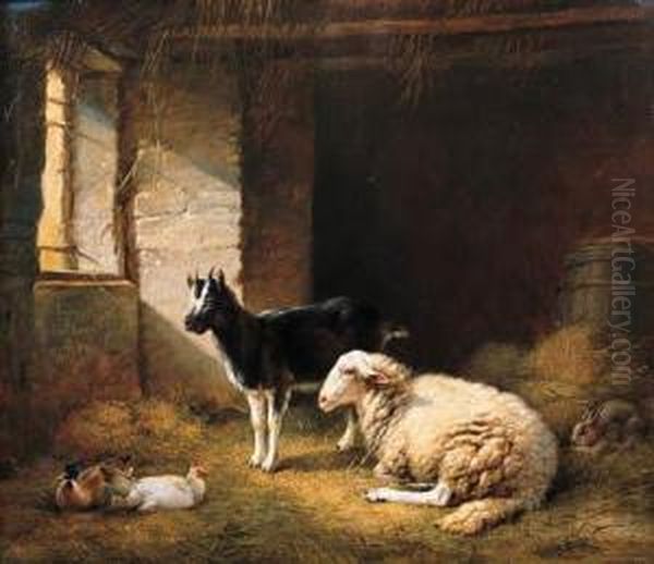 A Ewe, A Goat, A Rabbit And A Duck In A Barn Oil Painting by Eugene Verboeckhoven