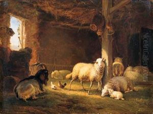 Sheep, Chicken And A Goat In A Barn Oil Painting by Eugene Verboeckhoven