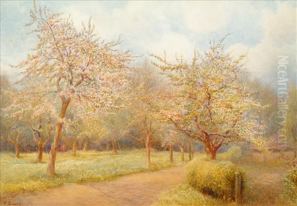 Trees In Blossom Oil Painting by Frederick Henry Evans