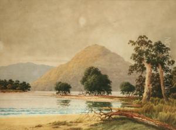 Tasmanian Landscape With Lake Oil Painting by Gladstone Eyre