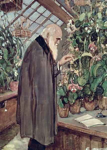 Charles Robert Darwin (1809-82) Oil Painting by John Maler Collier