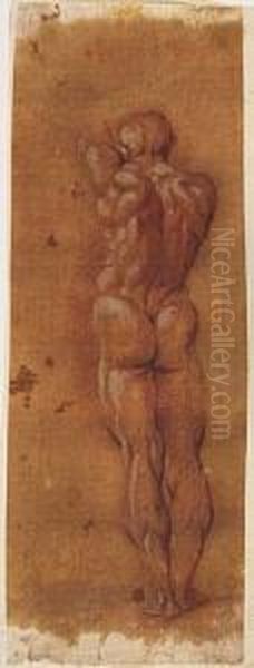 Standing Male Nude Seen From Behind, With Left Arm Raised Oil Painting by Pietro Faccini