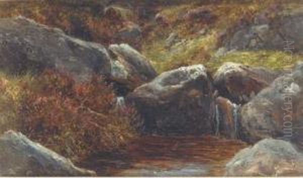 Rocks And Heather Oil Painting by James Jnr Faed