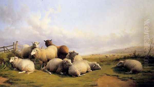 Sheep In An Extensive Landscape Oil Painting by Thomas Sidney Cooper