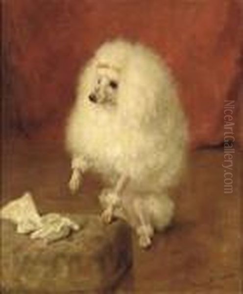 Portrait Of A Poodle Oil Painting by Frances C. Fairman