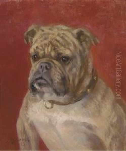 The Head Of A Bulldog Oil Painting by Frances C. Fairman