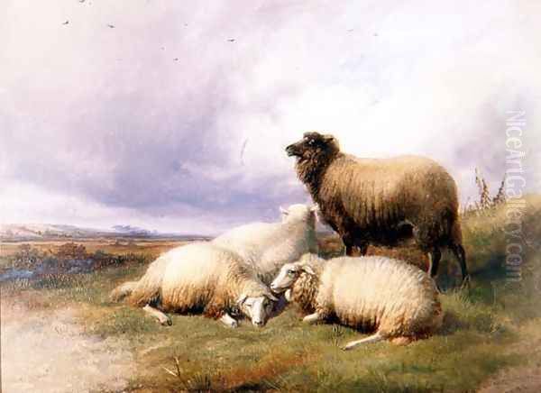 Sheep in a Landscape, 1894 Oil Painting by Thomas Sidney Cooper