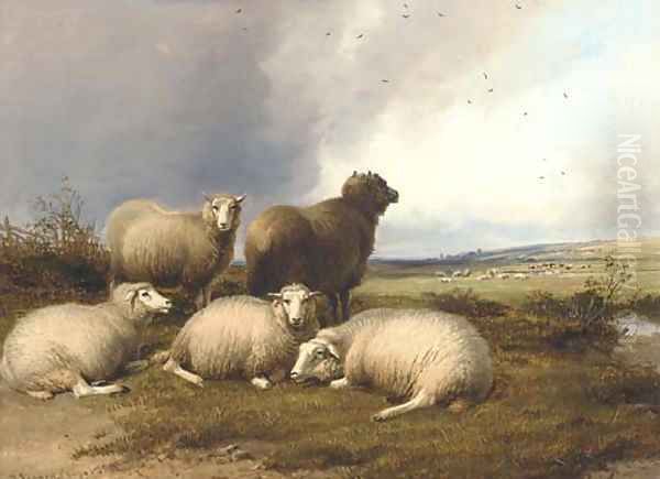 Sheep grazing in a landscape, with rain approaching Oil Painting by Thomas Sidney Cooper