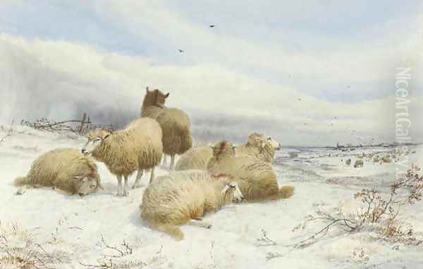 A flock of sheep in snow-covered fields Oil Painting by Thomas Sidney Cooper