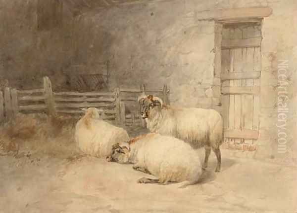 Sheep resting before a barn Oil Painting by Thomas Sidney Cooper