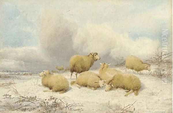 Sheep resting in the snow Oil Painting by Thomas Sidney Cooper