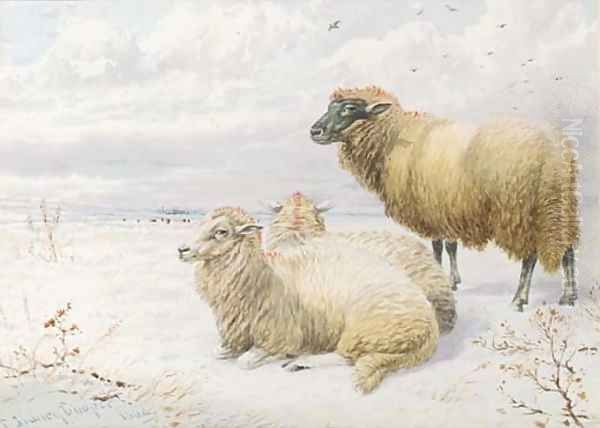 Sheep resting in the snow 2 Oil Painting by Thomas Sidney Cooper