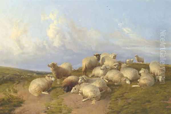 Sheep at Canterbury Meadow Oil Painting by Thomas Sidney Cooper