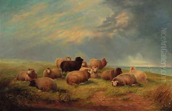 Sheep resting on a cliff top Oil Painting by Thomas Sidney Cooper