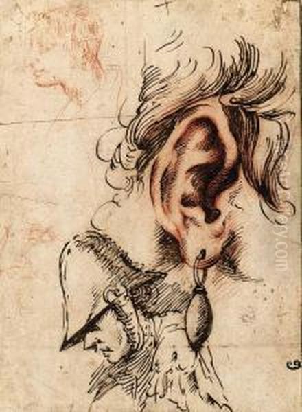 Study Of An Ear With An Earring And Three Studies Of Heads Oil Painting by Anielo Falcone