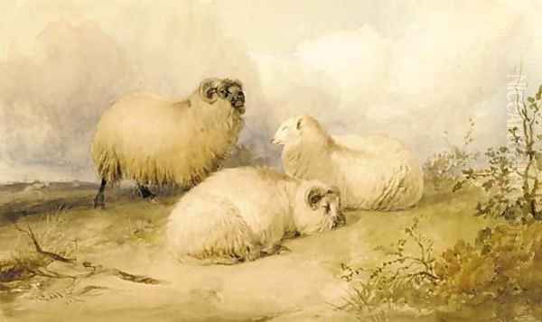 Two rams and a ewe Oil Painting by Thomas Sidney Cooper