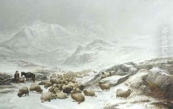 Drovers collecting their flocks under the fells, East Cumberland Oil Painting by Thomas Sidney Cooper