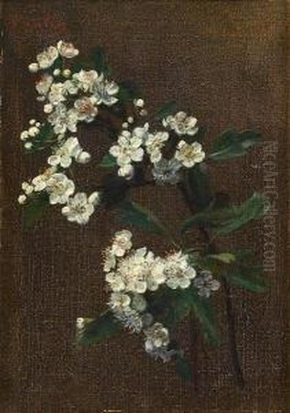 Branche De Pommier Oil Painting by Victoria Dubourg Fantin-Latour