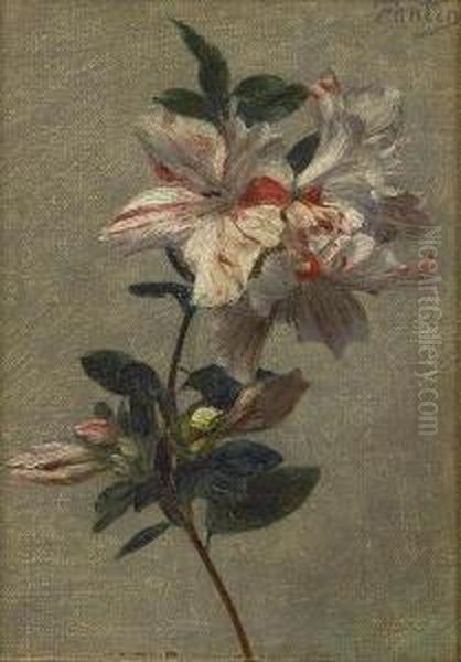 Azalees Oil Painting by Victoria Dubourg Fantin-Latour