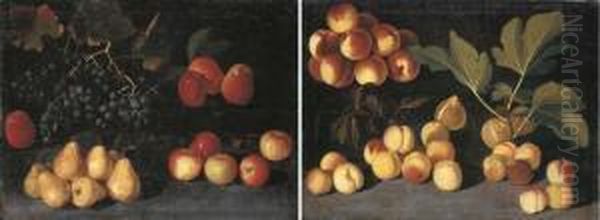 Grapes, Pears And Apples On A 
Forest Floor; And Peaches, Apricots And Figs On A Forest Floor Oil Painting by Giacomo Fardella