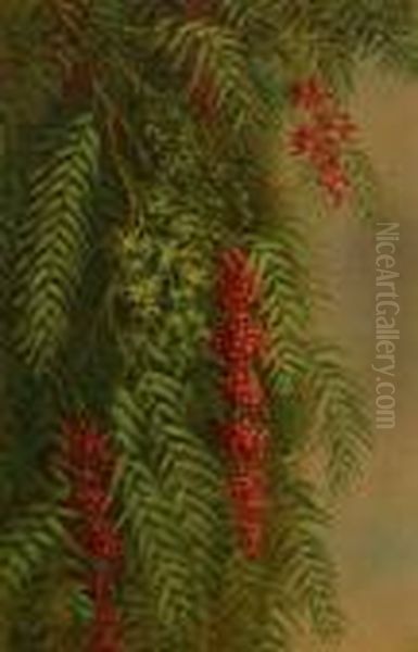 Pepper Tree Branch S L/l: Ellen B. Farr O/c 18x12 Est:$3000/4000 Oil Painting by Ellen Frances Farr