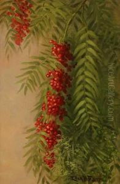 Pepper Tree Berries & Foliage S L/r: Ellen B. Farr O/cb 12x8
 Provenance: Residence Oil Painting by Ellen Frances Farr