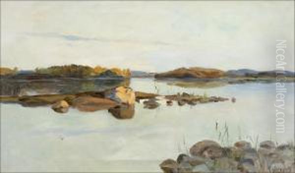 Iltavalonkajastus. Oil Painting by Maria Fedorova