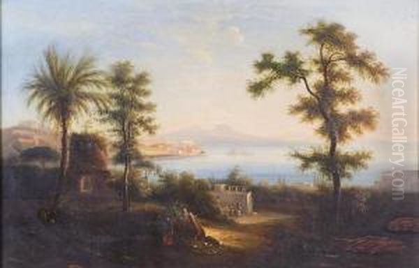 Veduta Del Golfo Di Napoli Oil Painting by Salvatore Fergola