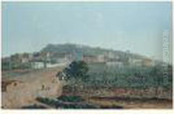 Naples : Vue Du Corso Napoleone Oil Painting by Salvatore Fergola