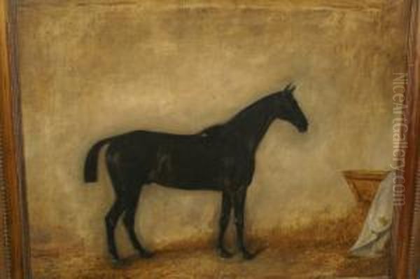 Black Sun, Hunter In A Loose Box Oil Painting by Claude L. Ferneley