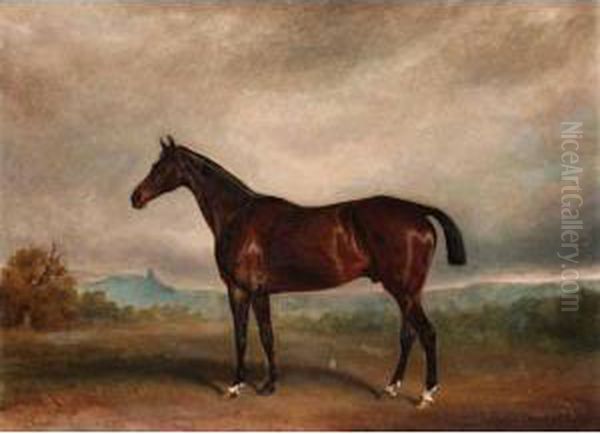 Bay Horse In A Landscape Oil Painting by Claude L. Ferneley