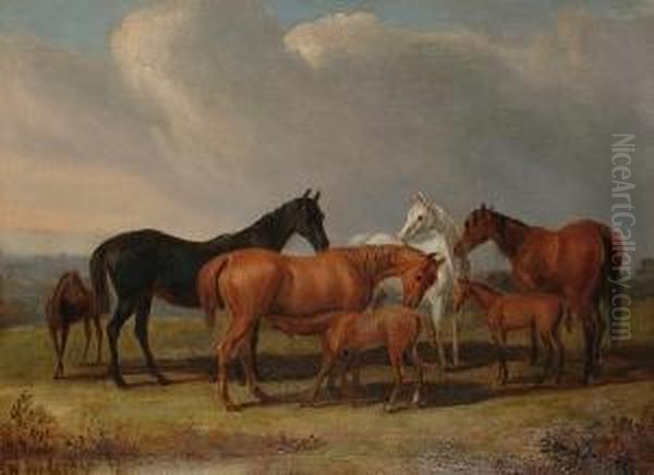 Horses In A Landscape Oil Painting by John Jnr. Ferneley