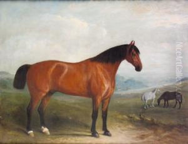 Portrait Of A Bay Hunter In 
Extensive Landscape With Grey And Chestnut Horses In The Middle Ground Oil Painting by John Jnr. Ferneley