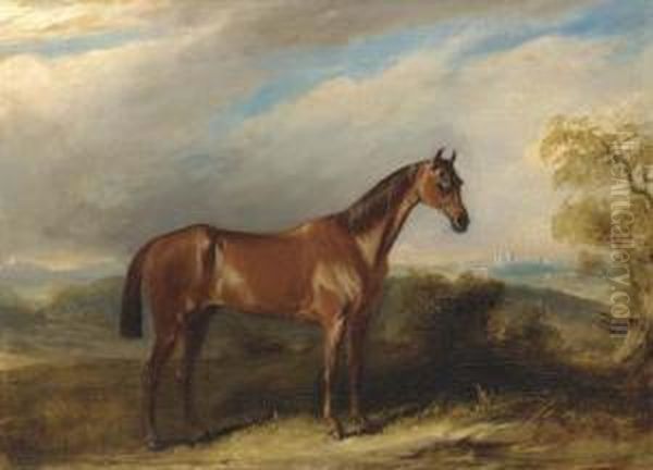 A Bay Hunter In An Extensive Landscape Oil Painting by John Jnr. Ferneley