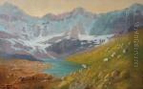 Hidden Lake - Glacier Park Oil Painting by John Fery