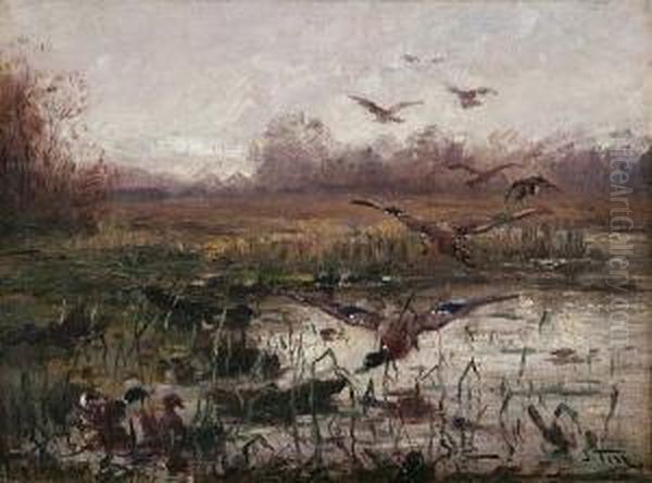 Mallards Oil Painting by John Fery