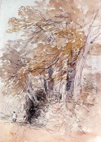 Tree-Lined Lane With Steep Banks Oil Painting by David Cox