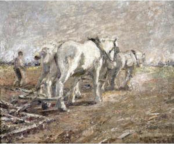 Team Of Greys Oil Painting by Harry Filder