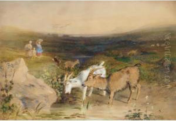 Goats Watering Oil Painting by Newton Fielding