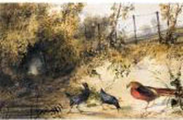 A Golden Pheasant And Moorhens Oil Painting by Newton Fielding