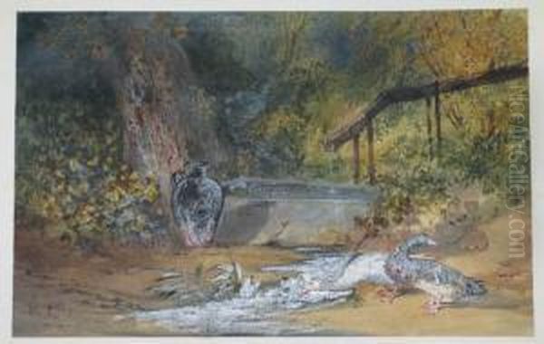 Abreuvoir Et Canards Oil Painting by Newton Fielding