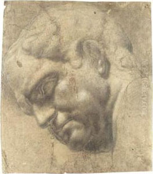 Head Of Vitellius Oil Painting by Ambrogio Giovanni Figino