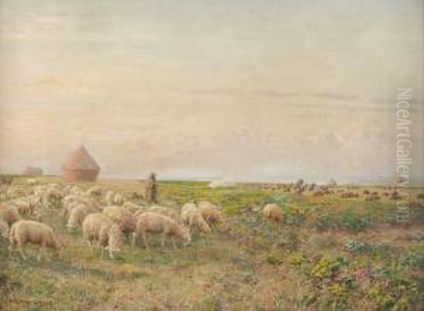 Berger Et Ses Moutons En Bord De Mer Oil Painting by Marie-Francois-Firmin Girard