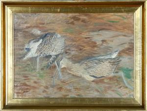 Two Snipes Oil Painting by Vilhelm Theodor Fischer