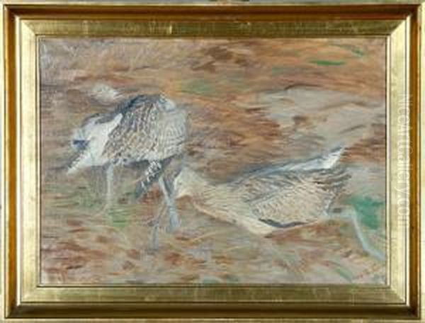 Two Shoot Snipes In A Grass Oil Painting by Vilhelm Theodor Fischer